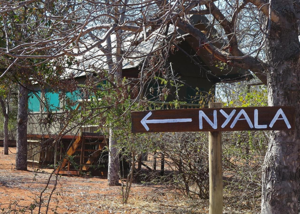 Iphofolo Lodge & Tented Camp Vivo Zewnętrze zdjęcie