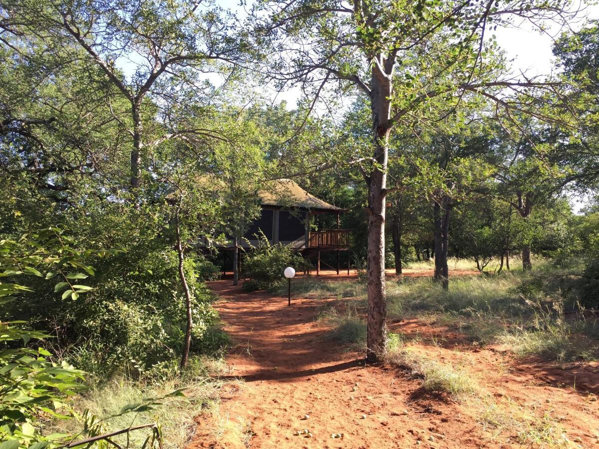 Iphofolo Lodge & Tented Camp Vivo Zewnętrze zdjęcie