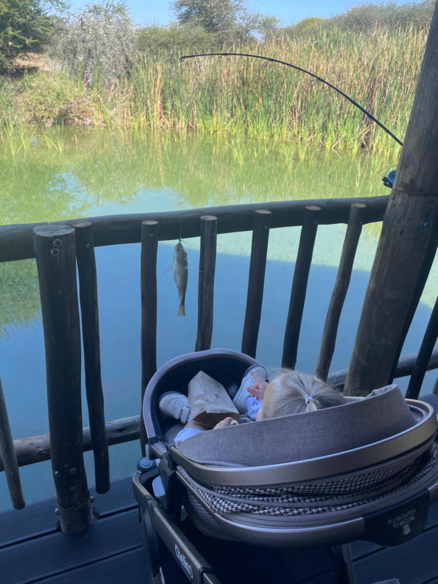 Iphofolo Lodge & Tented Camp Vivo Zewnętrze zdjęcie