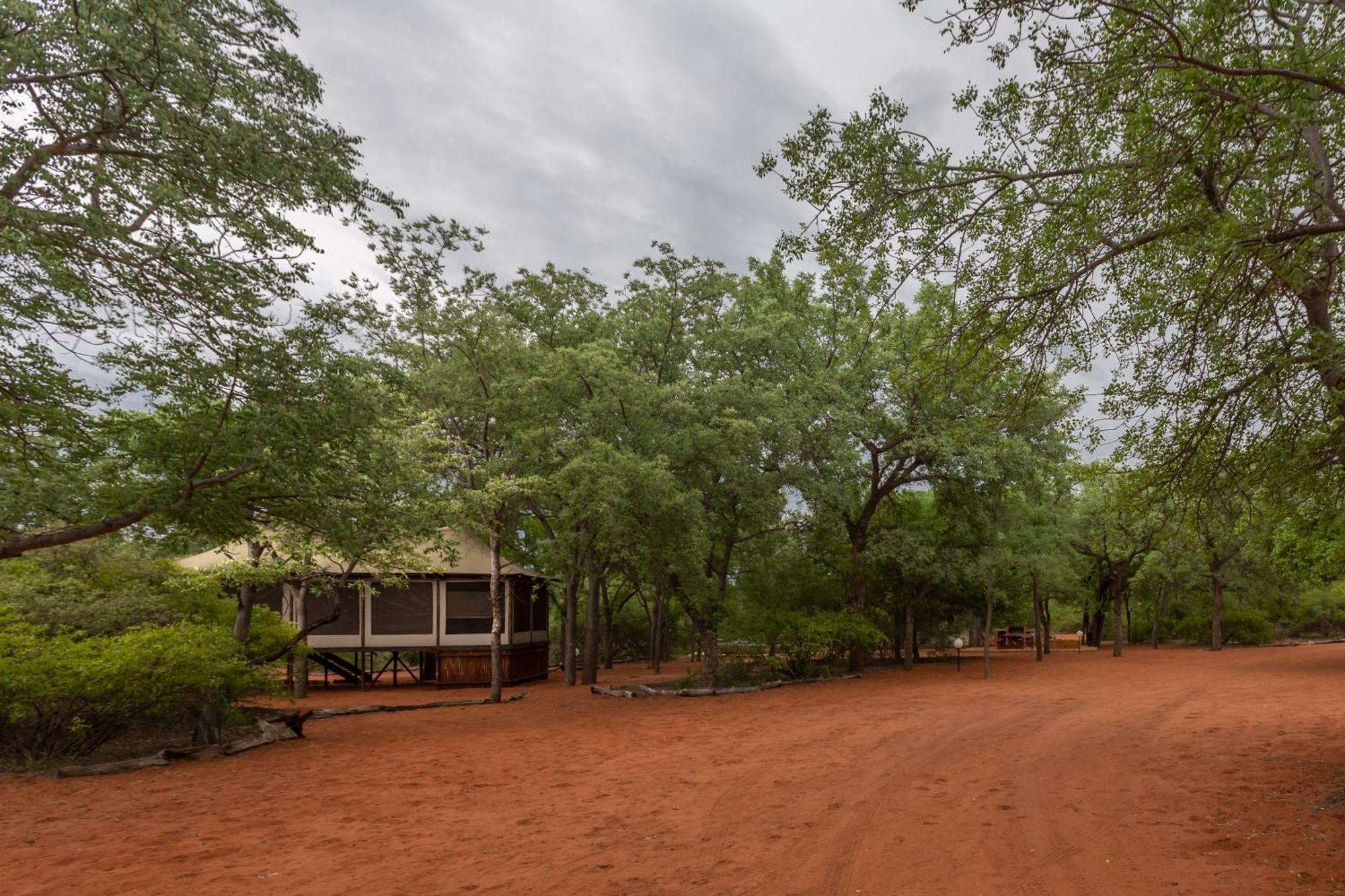 Iphofolo Lodge & Tented Camp Vivo Zewnętrze zdjęcie